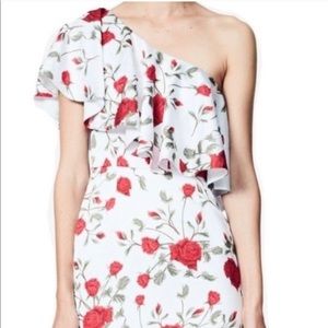 ROSE ONE SHOULDER DRESS PLUS SIZE 22